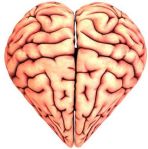 cerebro-enamorado