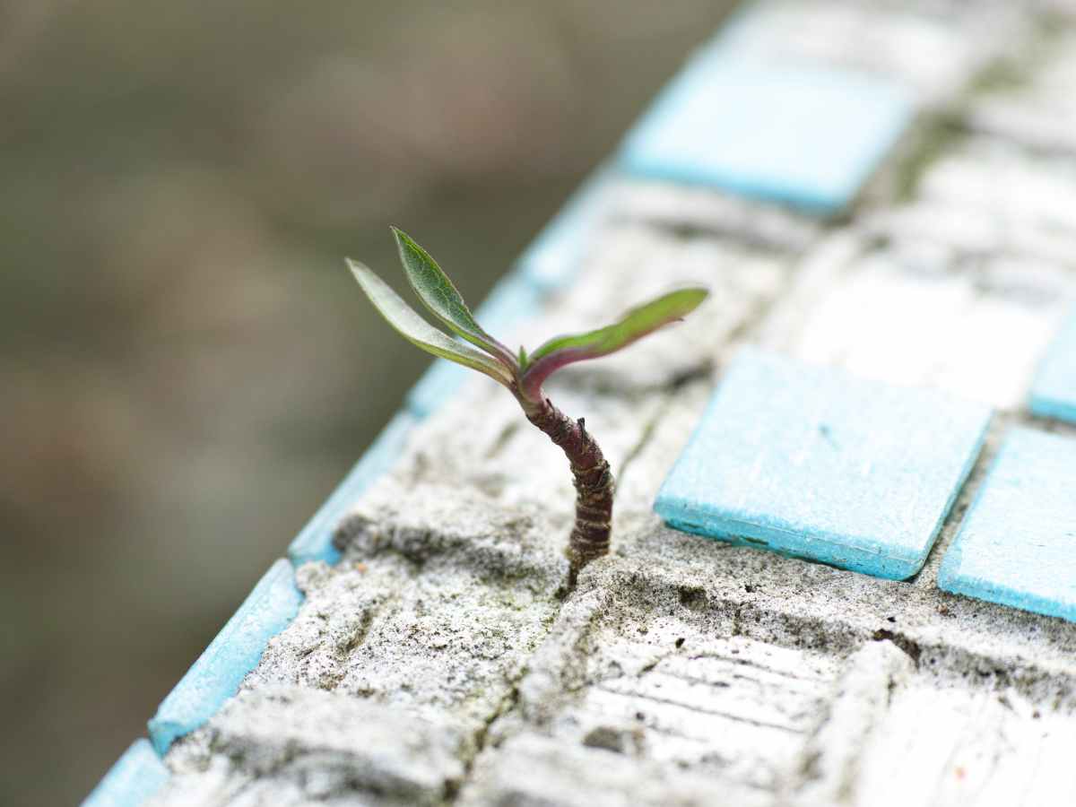 Volver a (re)conectar